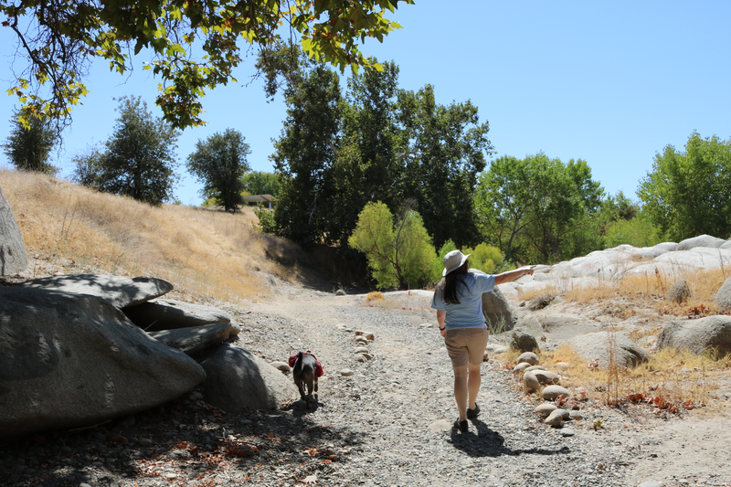 Illustration for article titled Lost Lake Park Photodump.